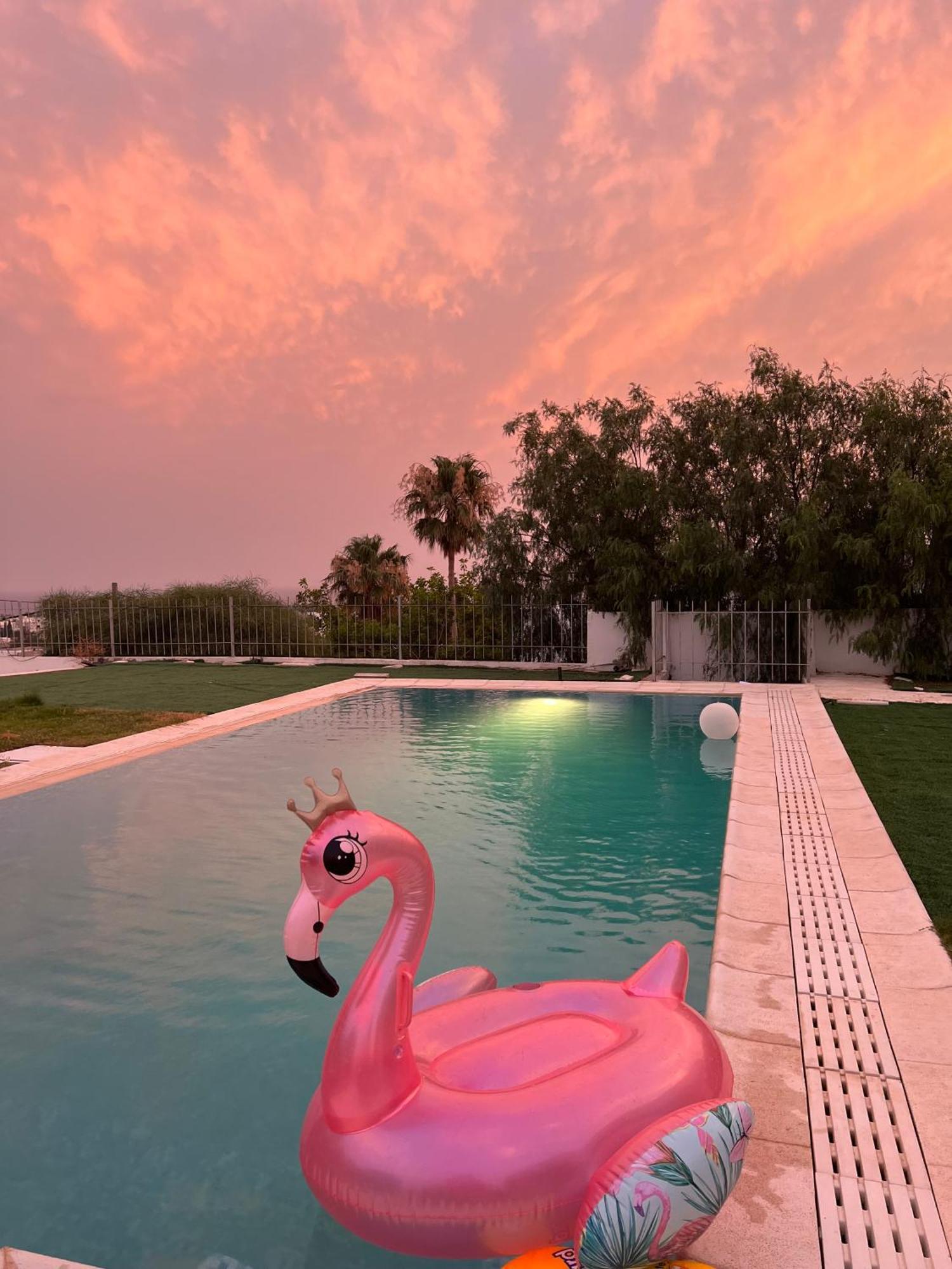 Chez Hayet Hotel Hammamet Exterior foto